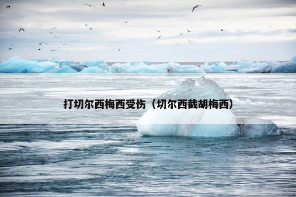 打切尔西梅西受伤(切尔西截胡梅西) 打切尔西梅西受伤(切尔西截胡梅西)