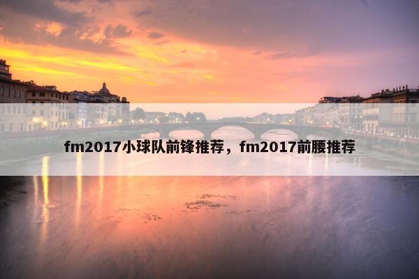 fm2017小球队前锋推荐，fm2017前腰推荐