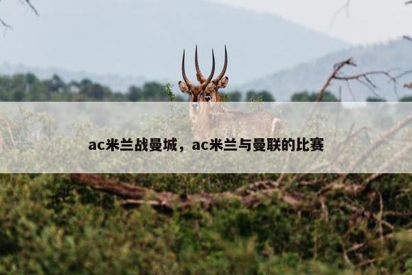 ac米兰战曼城，ac米兰与曼联的比赛