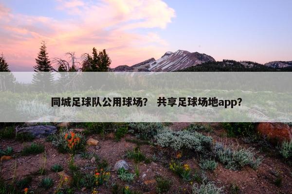 同城足球队公用球场？ 共享足球场地app？