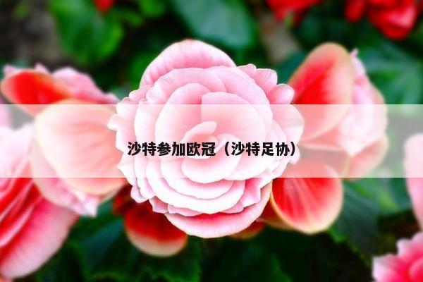 沙特参加欧冠(沙特足协) 沙特参加欧冠(沙特足协)