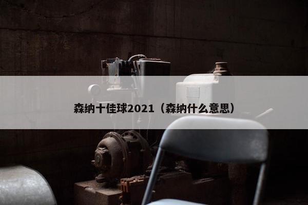森纳十佳球2021（森纳什么意思）