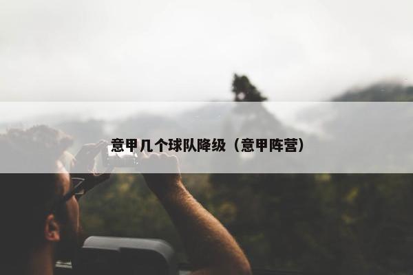 意甲几个球队降级（意甲阵营）