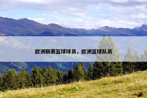 欧洲联赛篮球球员，欧洲篮球队员