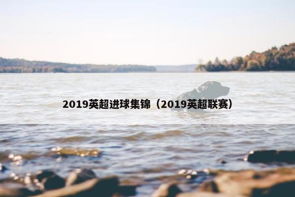 2019英超进球集锦（2019英超联赛）