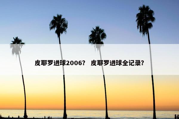 皮耶罗进球2006？ 皮耶罗进球全记录？