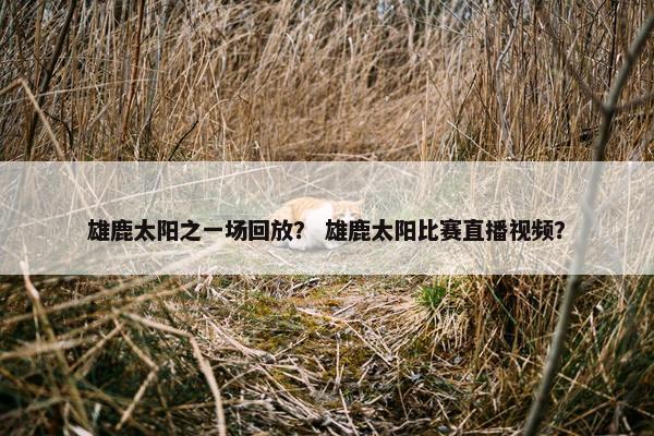 雄鹿太阳之一场回放？ 雄鹿太阳比赛直播视频？