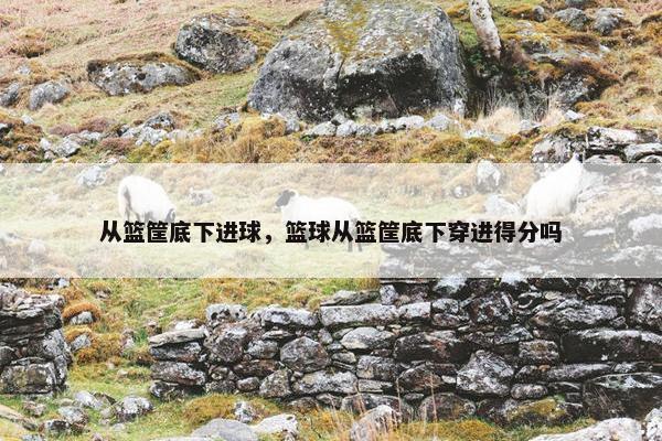 从篮筐底下进球,篮球从篮筐底下穿进得分吗 从篮筐底下进球,篮球从篮筐底下穿进得分吗