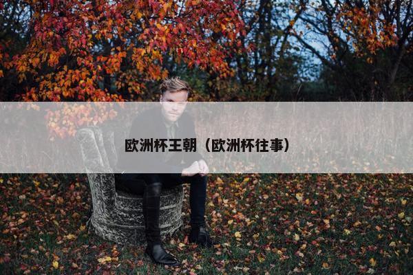 欧洲杯王朝(欧洲杯往事) 欧洲杯王朝(欧洲杯往事)