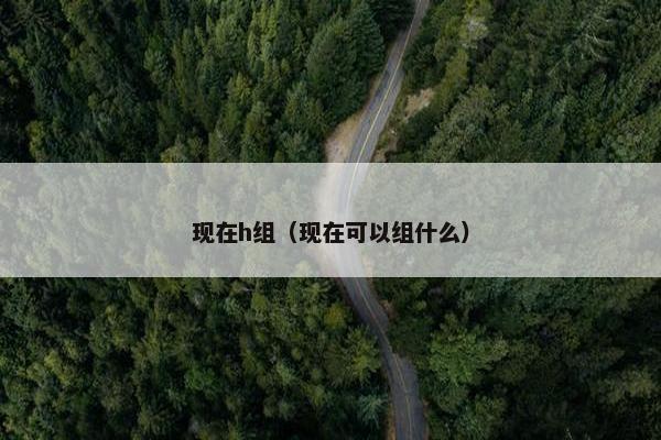 现在h组(现在可以组什么) 现在h组(现在可以组什么)