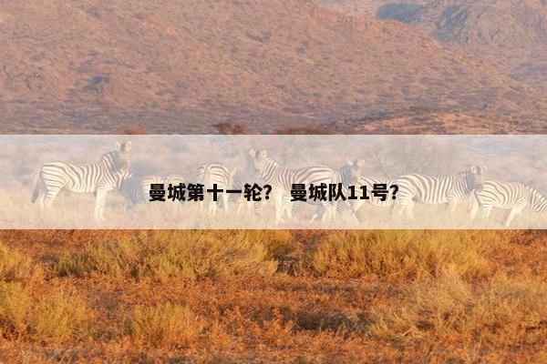 曼城第十一轮？ 曼城队11号？