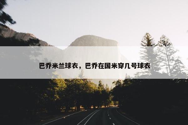 巴乔米兰球衣，巴乔在国米穿几号球衣