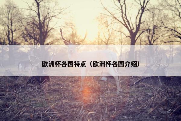 欧洲杯各国特点(欧洲杯各国介绍) 欧洲杯各国特点(欧洲杯各国介绍)
