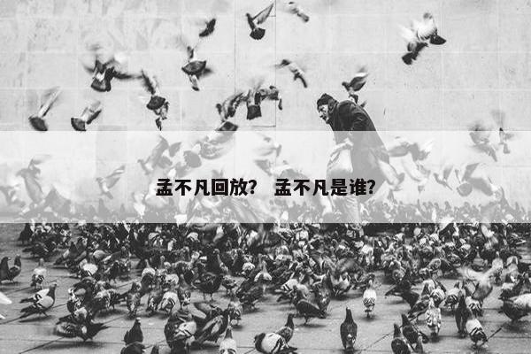 孟不凡回放? 孟不凡是谁? 孟不凡回放? 孟不凡是谁?