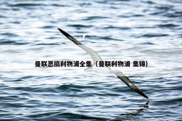 曼联恶搞利物浦全集(曼联利物浦 集锦) 曼联恶搞利物浦全集(曼联利物浦 集锦)