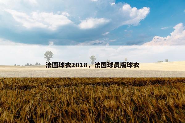 法国球衣2018，法国球员版球衣
