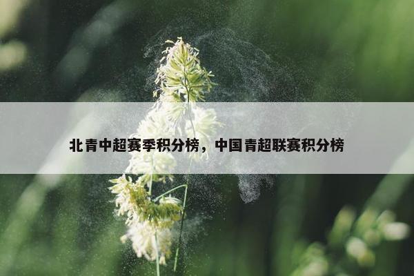 北青中超赛季积分榜，中国青超联赛积分榜