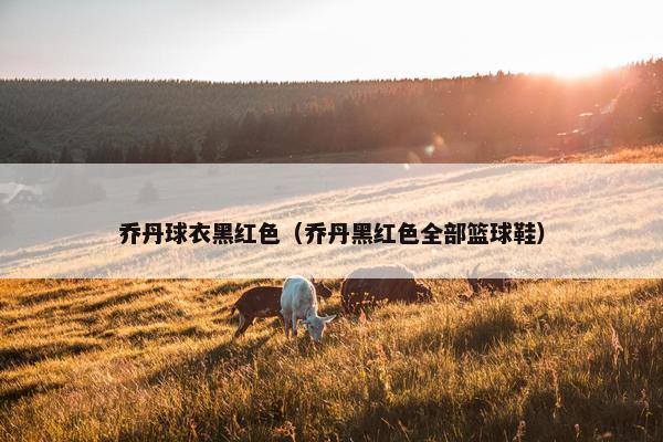 乔丹球衣黑红色(乔丹黑红色全部篮球鞋) 乔丹球衣黑红色(乔丹黑红色全部篮球鞋)