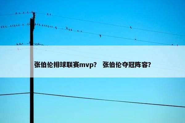 张伯伦排球联赛mvp？ 张伯伦夺冠阵容？