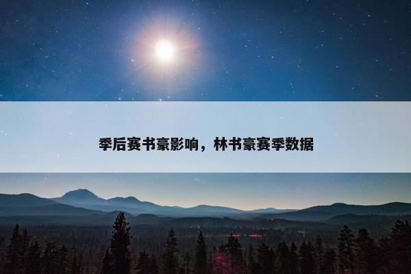 季后赛书豪影响，林书豪赛季数据