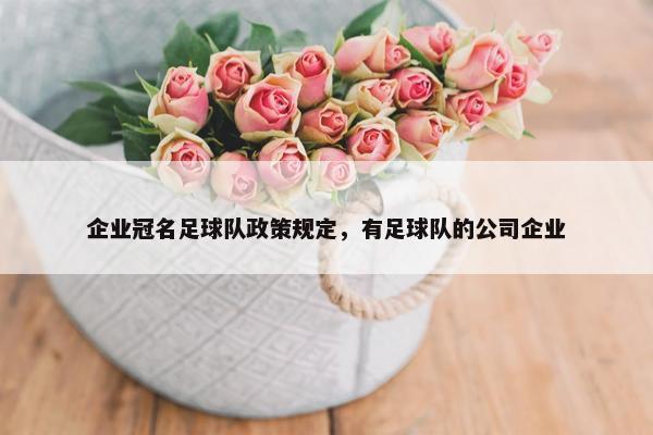 企业冠名足球队政策规定，有足球队的公司企业