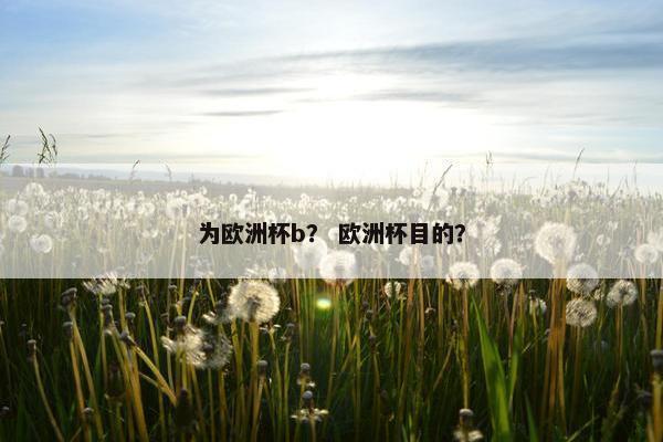 为欧洲杯b? 欧洲杯目的? 为欧洲杯b? 欧洲杯目的?