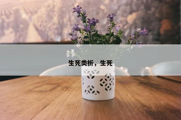 生死类析，生死
