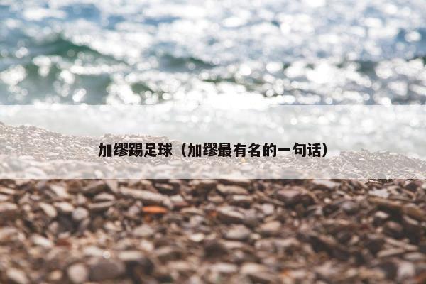 加缪踢足球（加缪最有名的一句话）