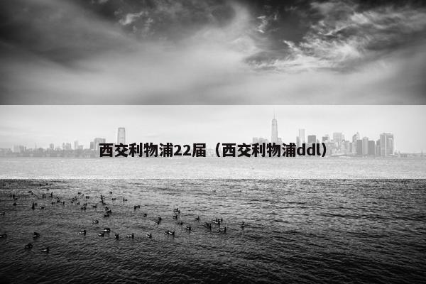 西交利物浦22届（西交利物浦ddl）