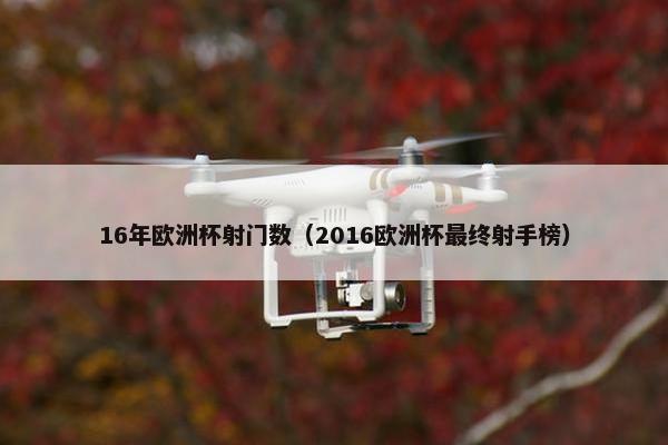 16年欧洲杯射门数(2016欧洲杯最终射手榜) 16年欧洲杯射门数(2016欧洲杯最终射手榜)