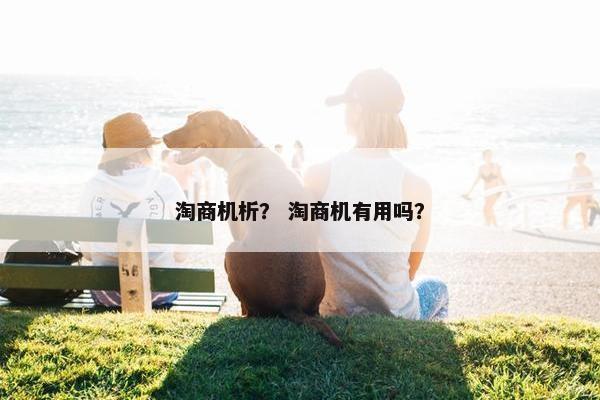 淘商机析？ 淘商机有用吗？