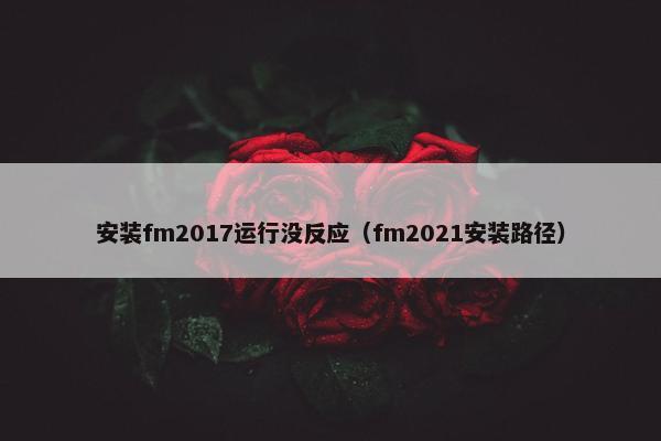 安装fm2017运行没反应（fm2021安装路径）