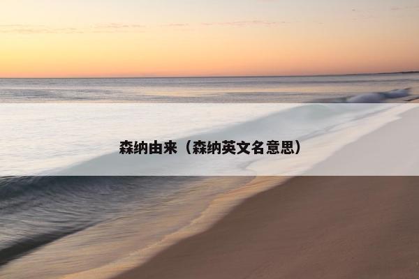 森纳由来（森纳英文名意思）