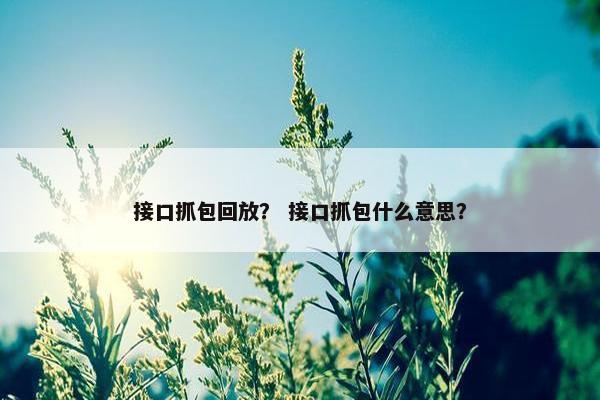 接口抓包回放？ 接口抓包什么意思？
