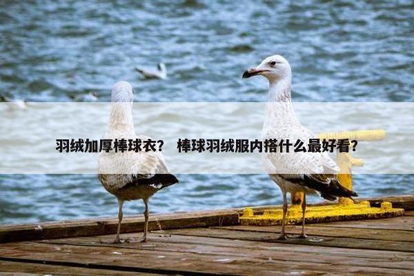 羽绒加厚棒球衣? 棒球羽绒服内搭什么最好看? 羽绒加厚棒球衣? 棒球羽绒服内搭什么最好看?