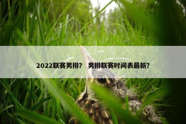 2022联赛男排？ 男排联赛时间表最新？