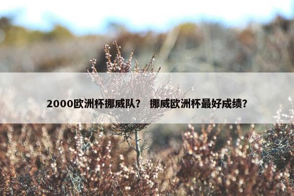 2000欧洲杯挪威队？ 挪威欧洲杯最好成绩？