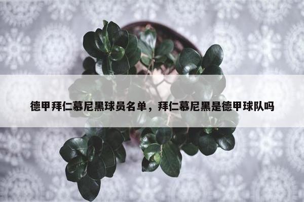 德甲拜仁慕尼黑球员名单，拜仁慕尼黑是德甲球队吗