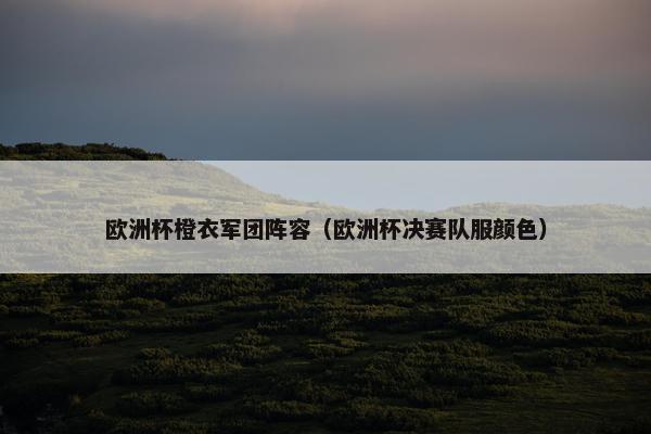 欧洲杯橙衣军团阵容(欧洲杯决赛队服颜色) 欧洲杯橙衣军团阵容(欧洲杯决赛队服颜色)