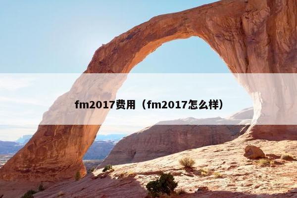 fm2017费用（fm2017怎么样）