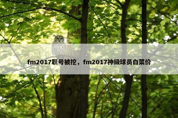 fm2017职号被挖，fm2017神级球员白菜价
