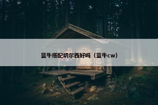 蓝牛搭配切尔西好吗（蓝牛cw）