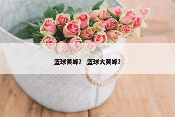 篮球黄蜂？ 篮球大黄蜂？