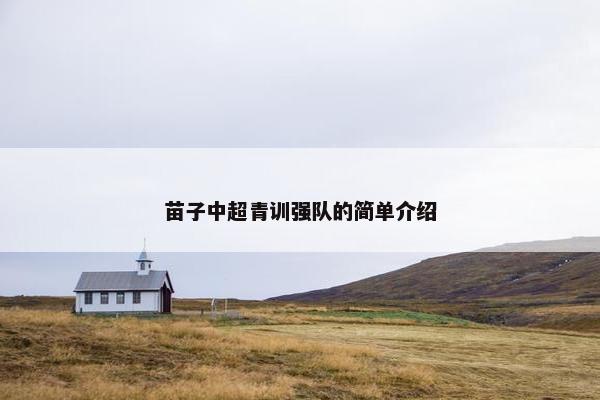 苗子中超青训强队的简单介绍 苗子中超青训强队的简单介绍