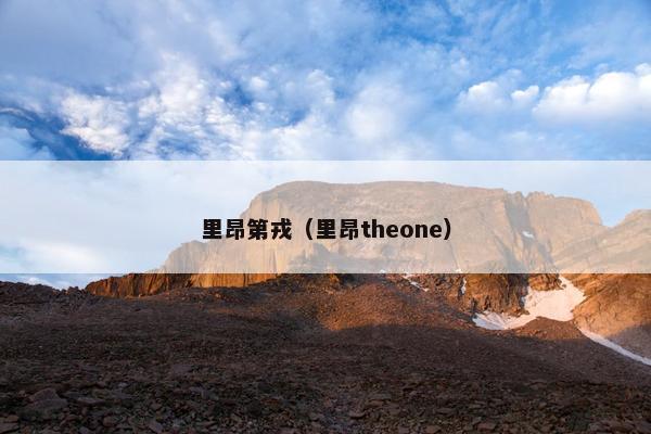 里昂第戎（里昂theone）
