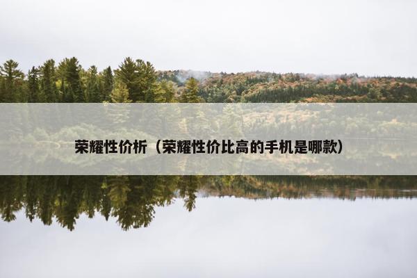 荣耀性价析（荣耀性价比高的手机是哪款）