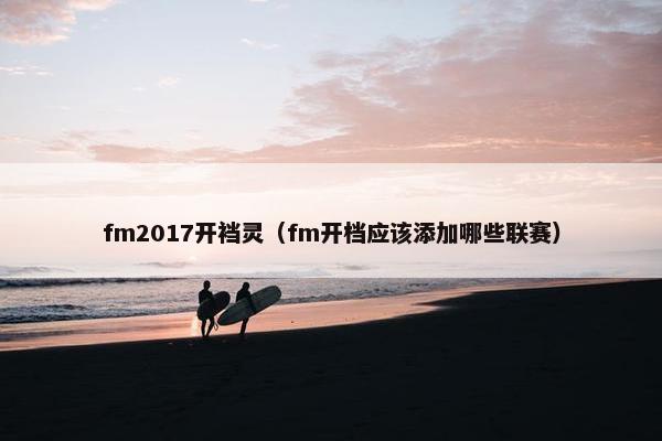fm2017开裆灵（fm开档应该添加哪些联赛）