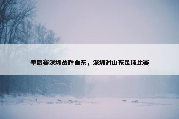 季后赛深圳战胜山东，深圳对山东足球比赛