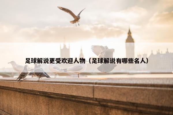 足球解说更受欢迎人物(足球解说有哪些名人) 足球解说更受欢迎人物(足球解说有哪些名人)