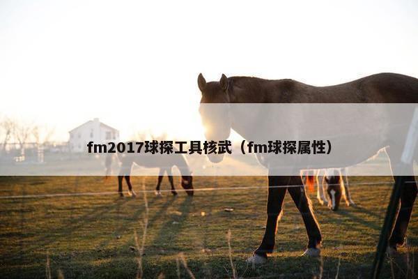 fm2017球探工具核武（fm球探属性）